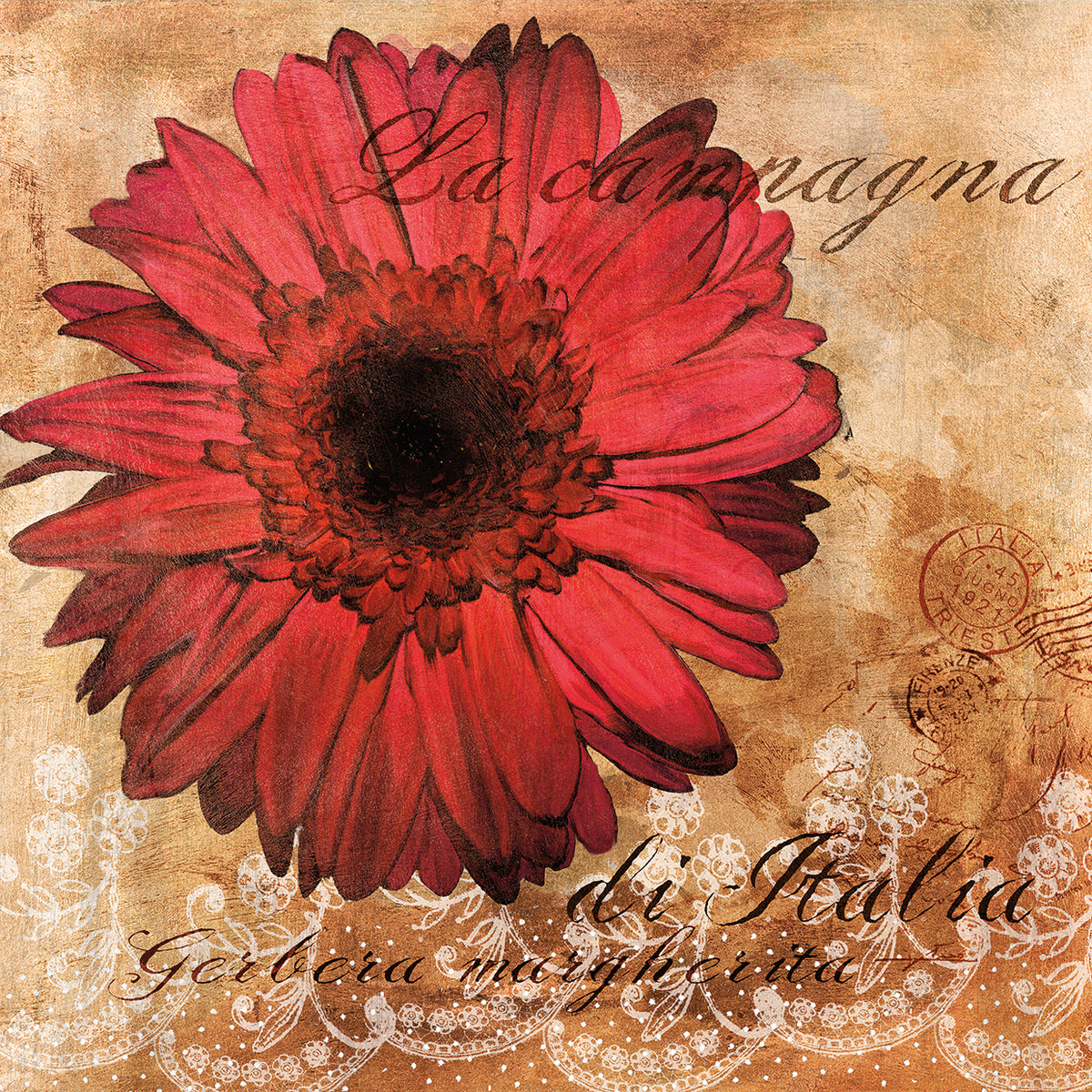 Gerbera Italia