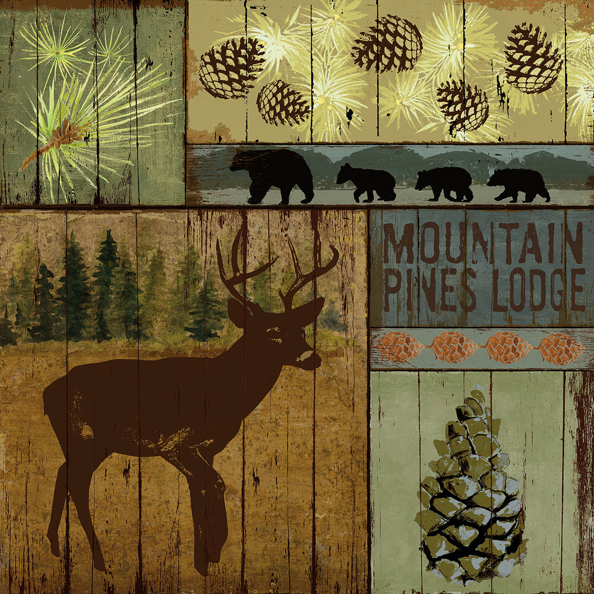 Pines and Oaks III