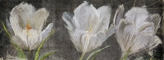 Tulip Triolet Canvas Art