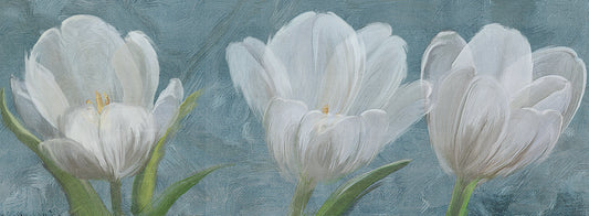 Tulip Triolet 2 Canvas Art