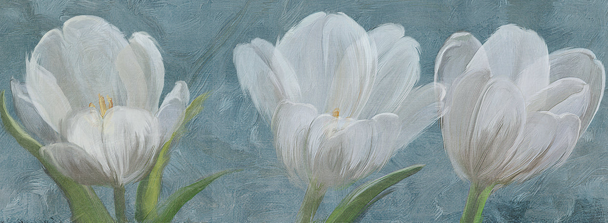 Tulip Triolet 2