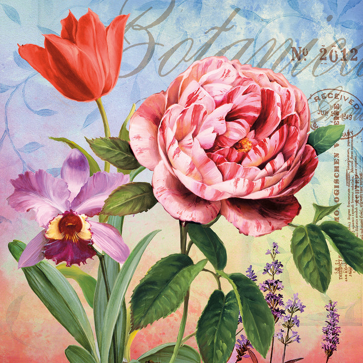 Cuadro Botanique con Rosa