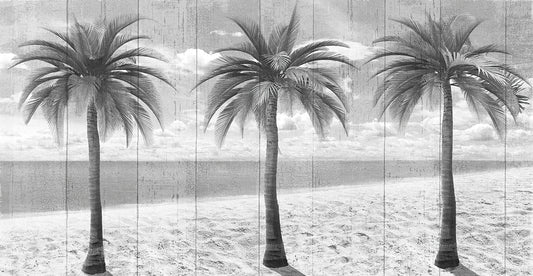 3 Island Palms Canvas Prints