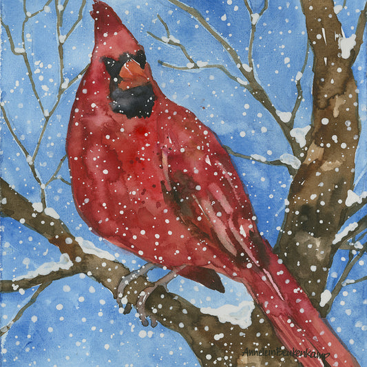 Snowbird Canvas Print