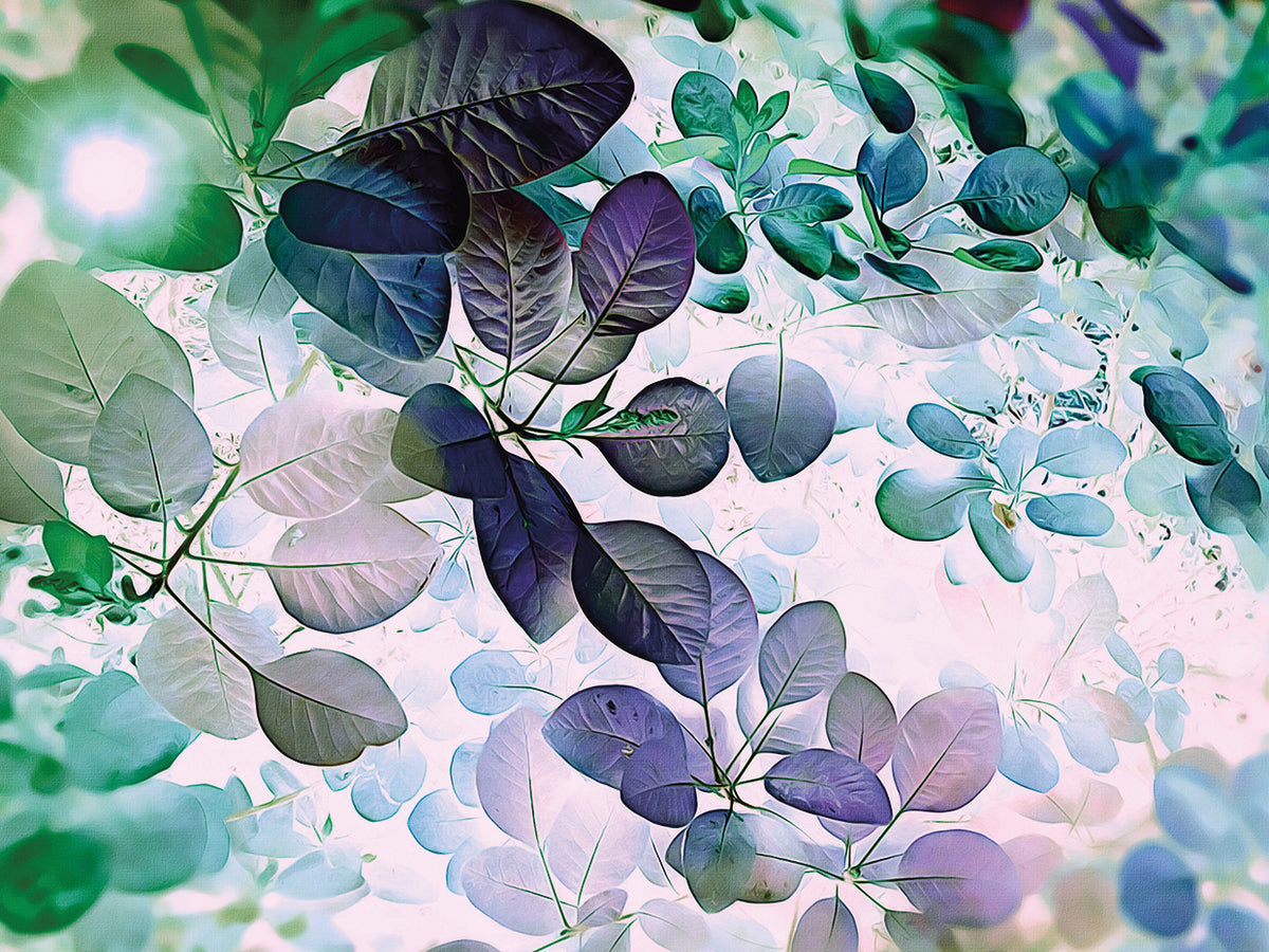 Hannah's Garden