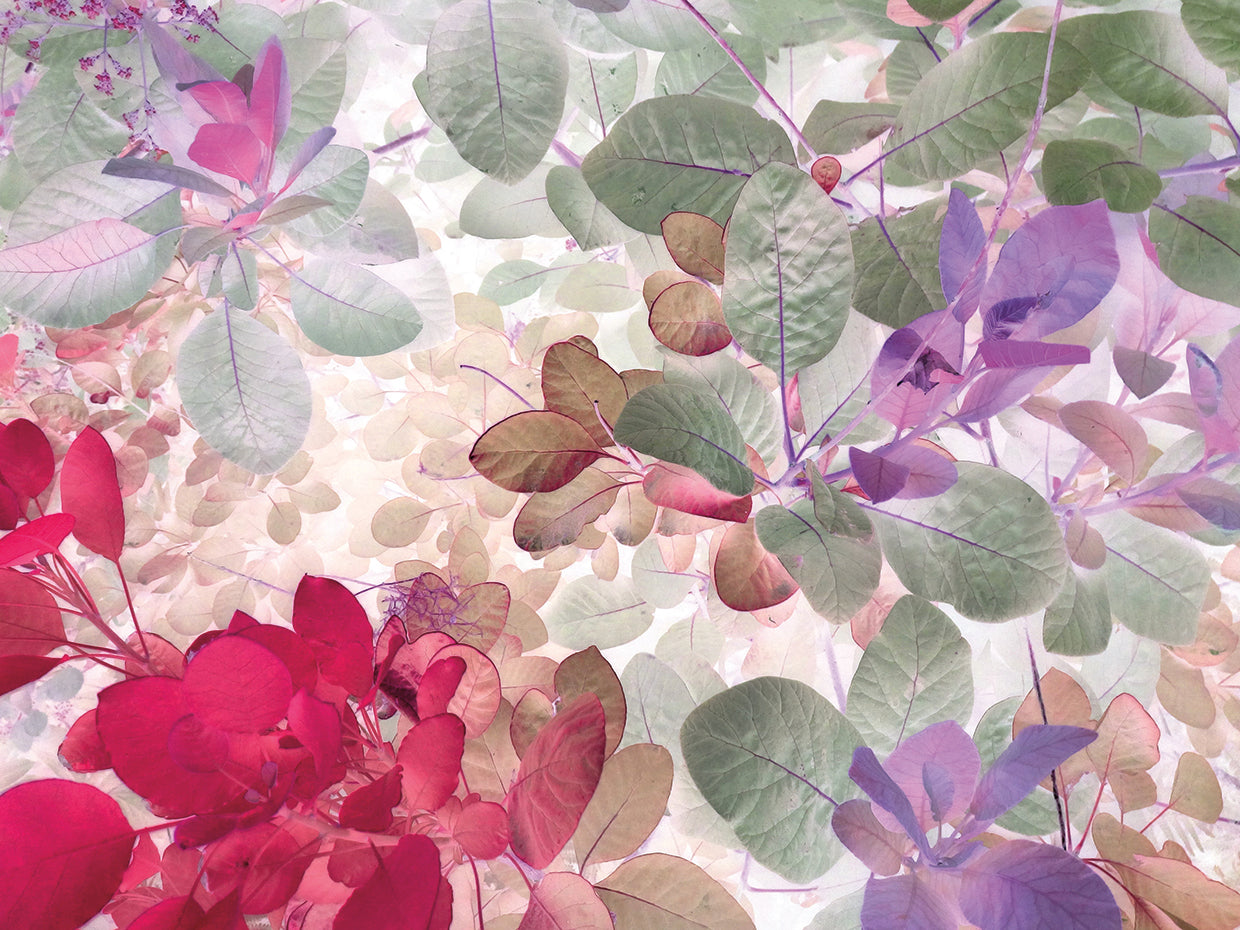 El arte de la lona del jardín de verano
