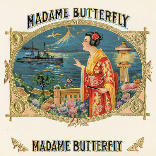 Madame Butterfly Canvas Art