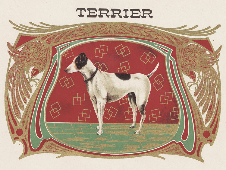 Terrier