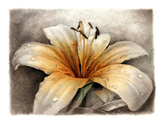 Magic Lily Canvas Art