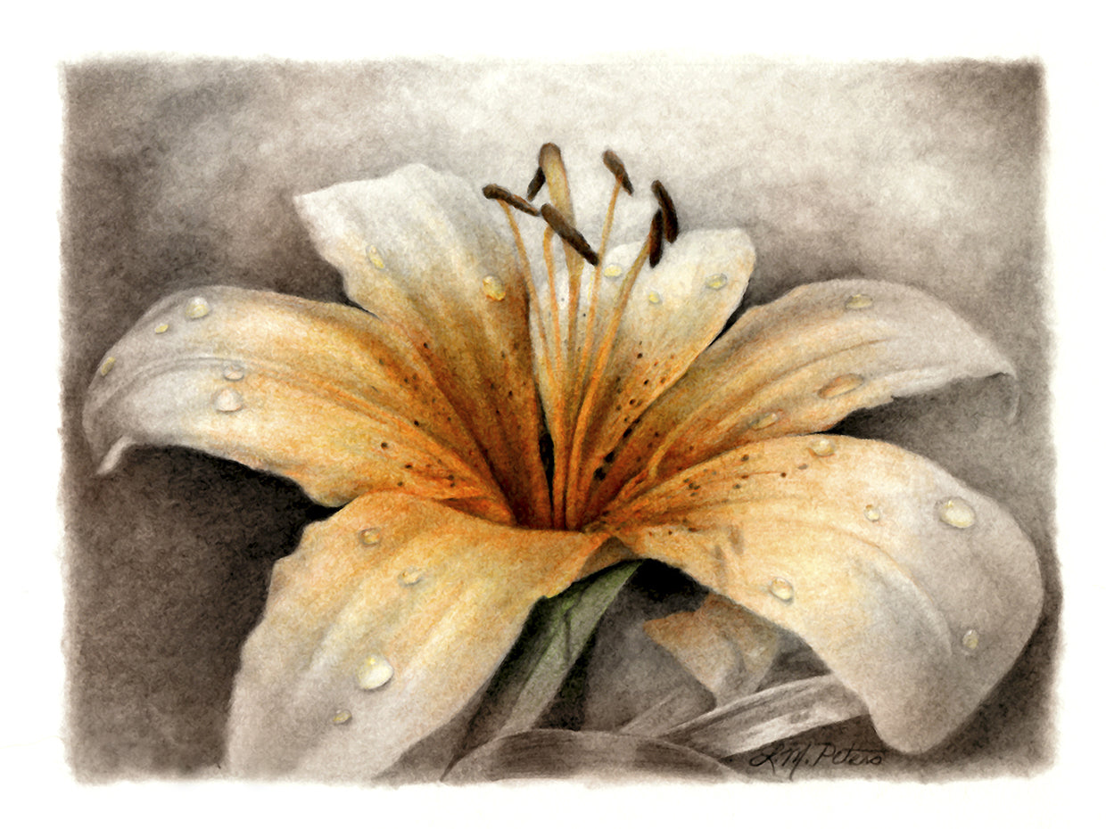 Magic Lily
