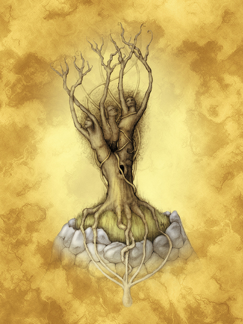 Sisters Of The Wood