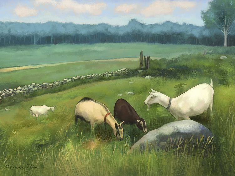 Beltane Farm Friends