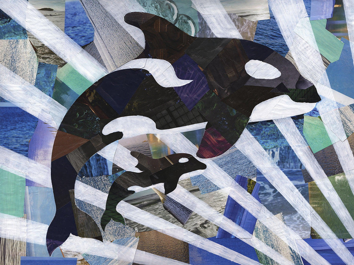Arte de la lona de las ballenas asesinas lindas