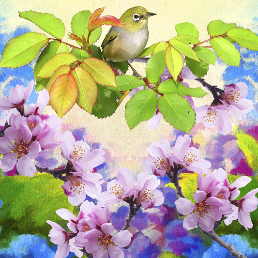 Spring Colors 2 Canvas Print