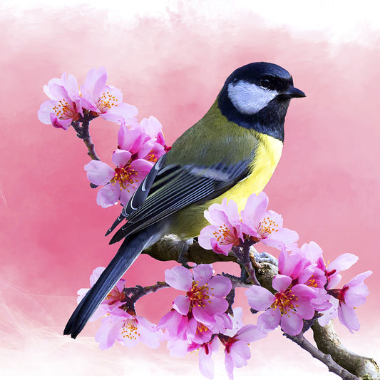 Spring Bird 3 Canvas Print