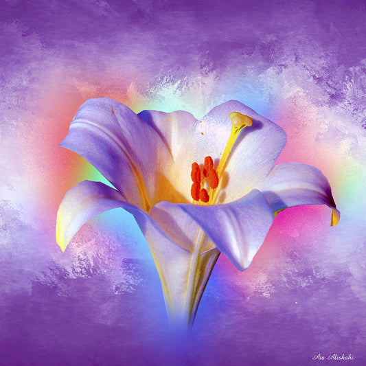Flower On Colors 2 Canvas Print