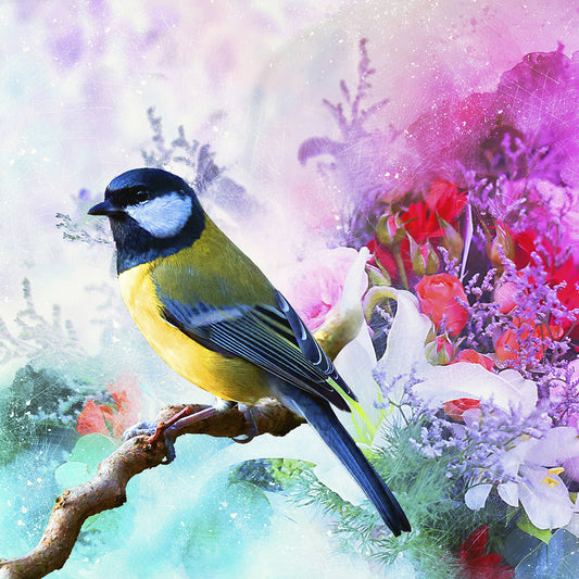 Bird Collection 1 Canvas Print