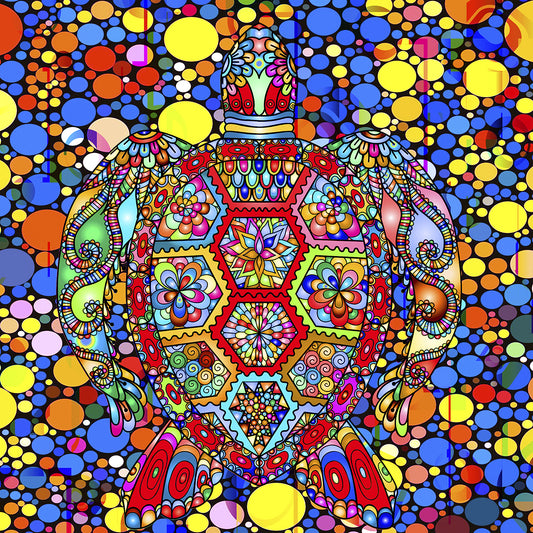 Colorful Turtle Canvas Print