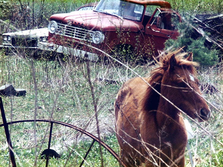 Old Modes Of Transportation