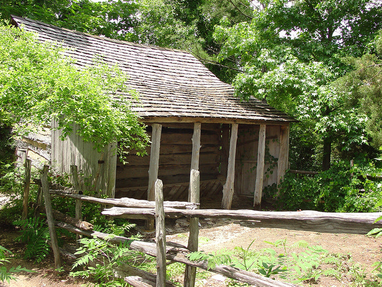 Old Cabin