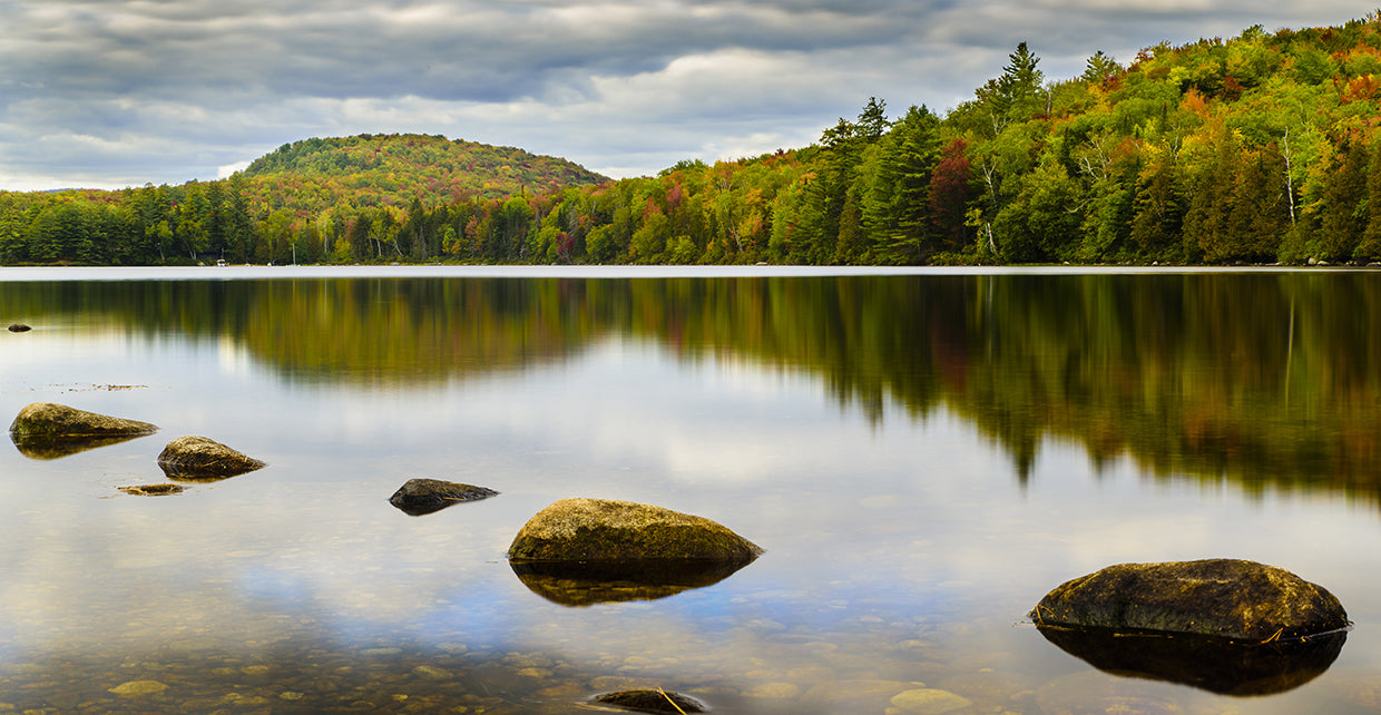 Fall Reflection On Ricker Pond