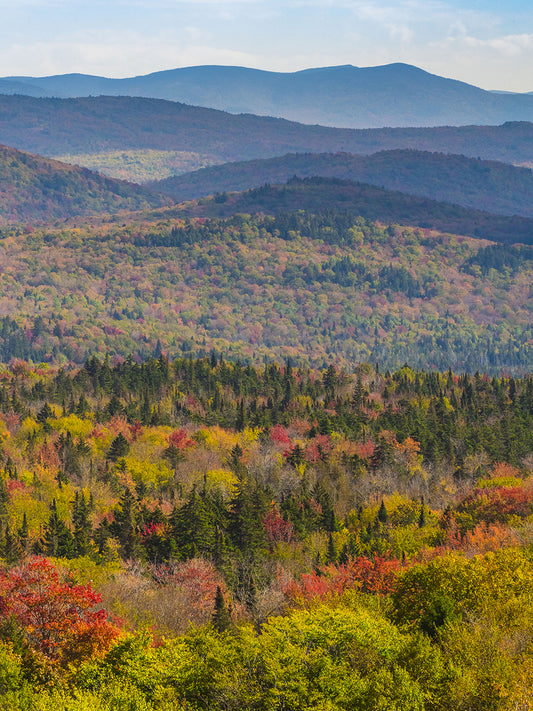 Vermont's Colors Canvas Print