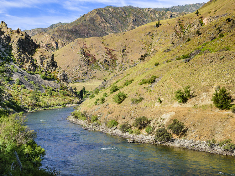 Water Through The Arid Wilderness