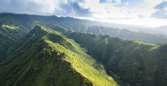 Hawaii Loa Ridge