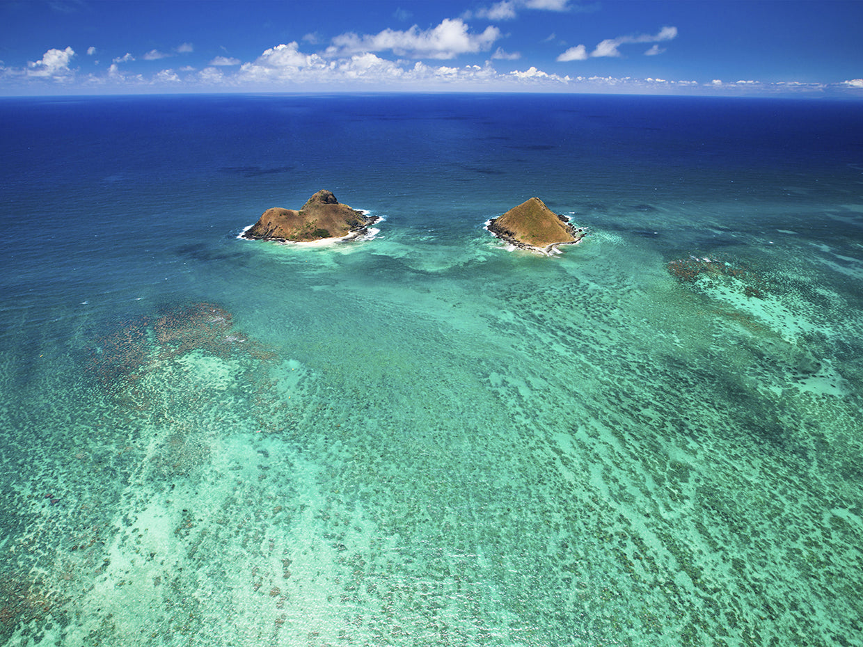Lanikai Reef