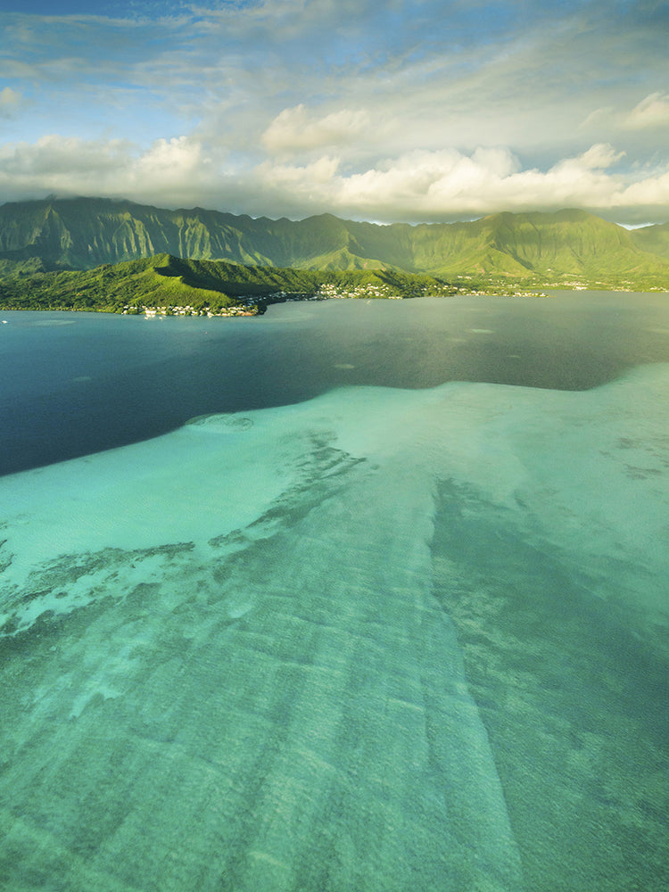 Sandbar Morning Vertical