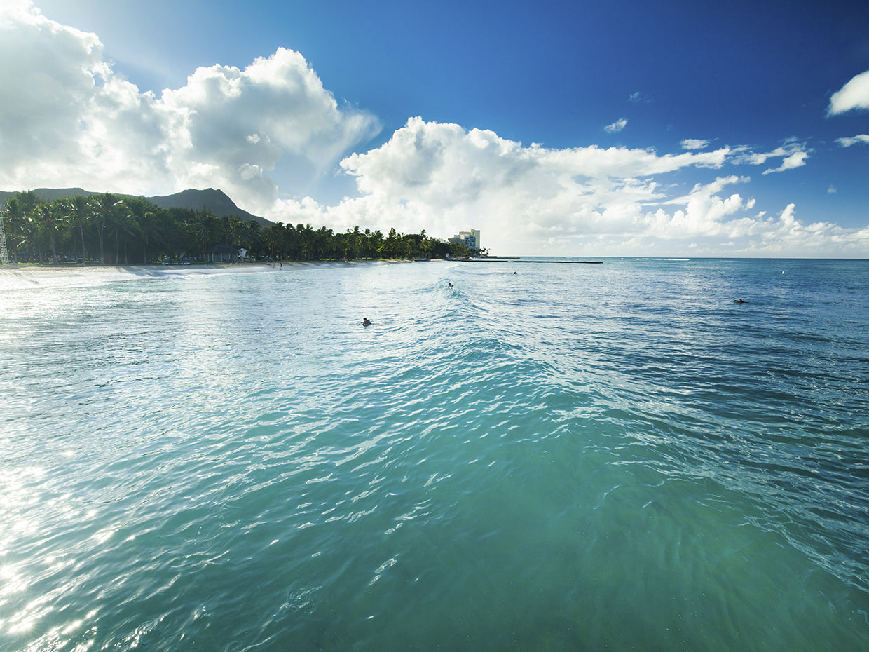 Waikiki Jetty