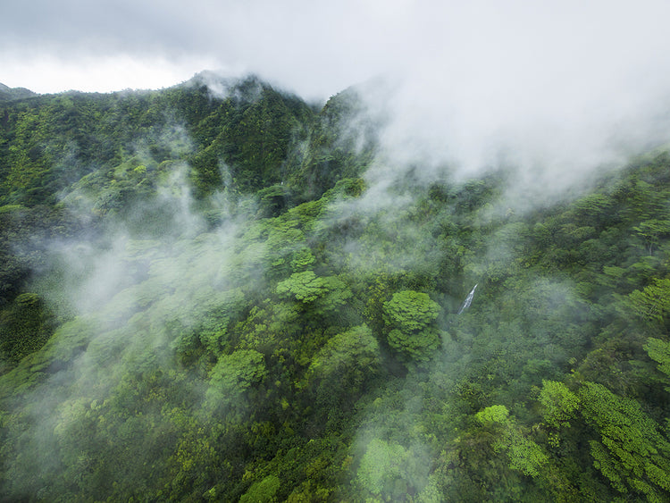 Manoa Waterfall