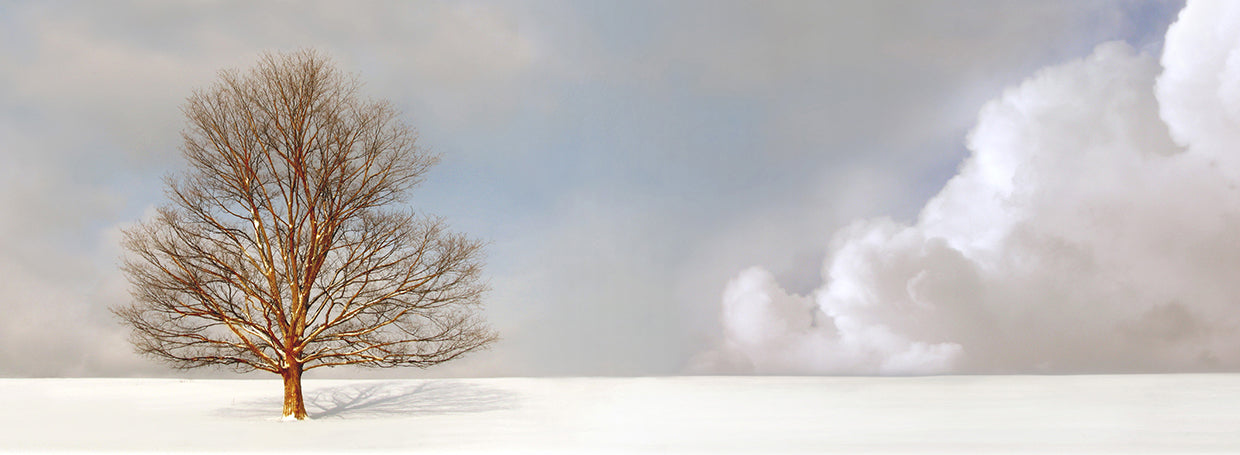 Alone in the Whiteness