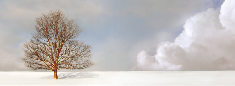 Alone in the Whiteness