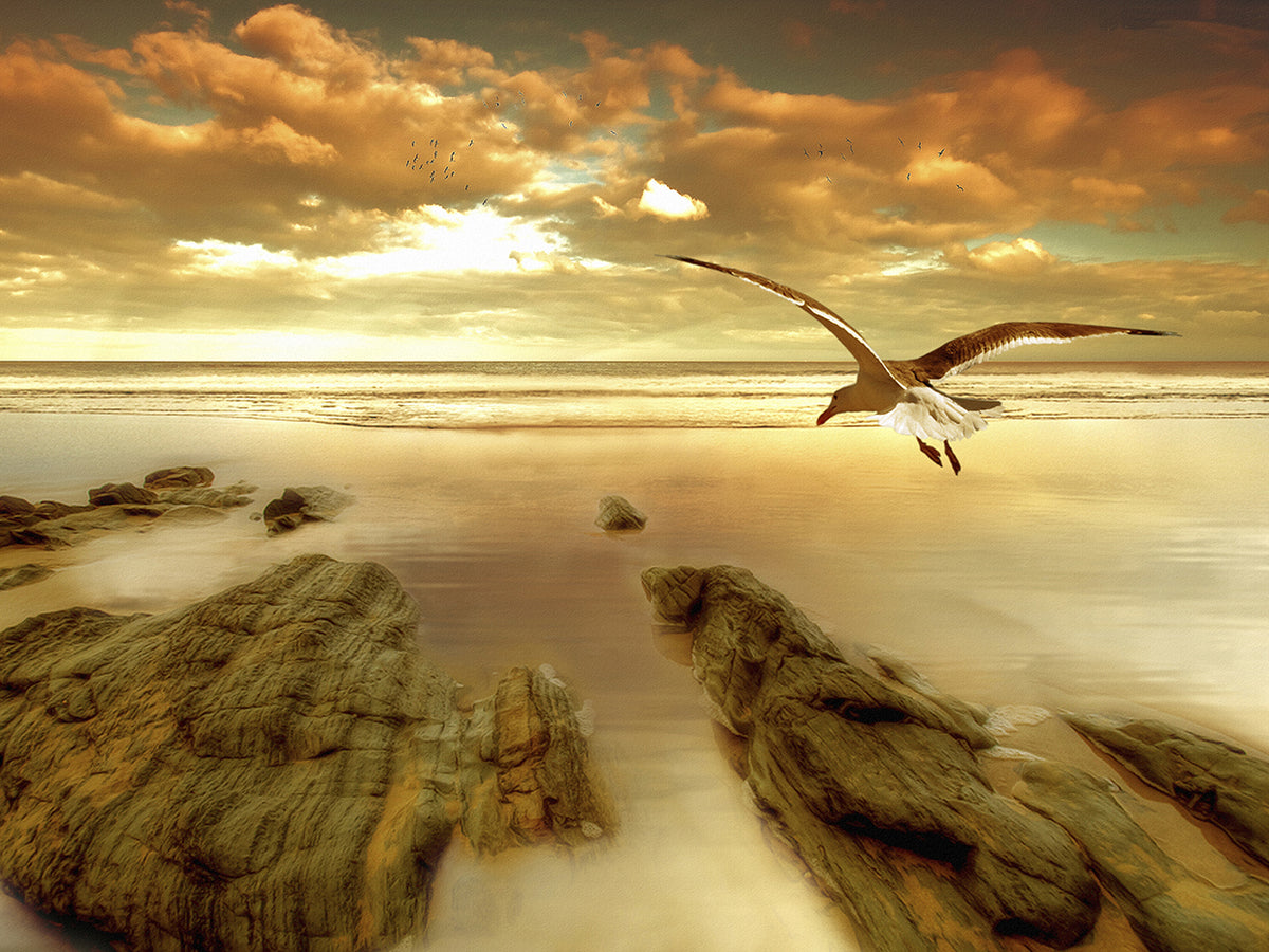 Soft Sunrise on the Beach 4