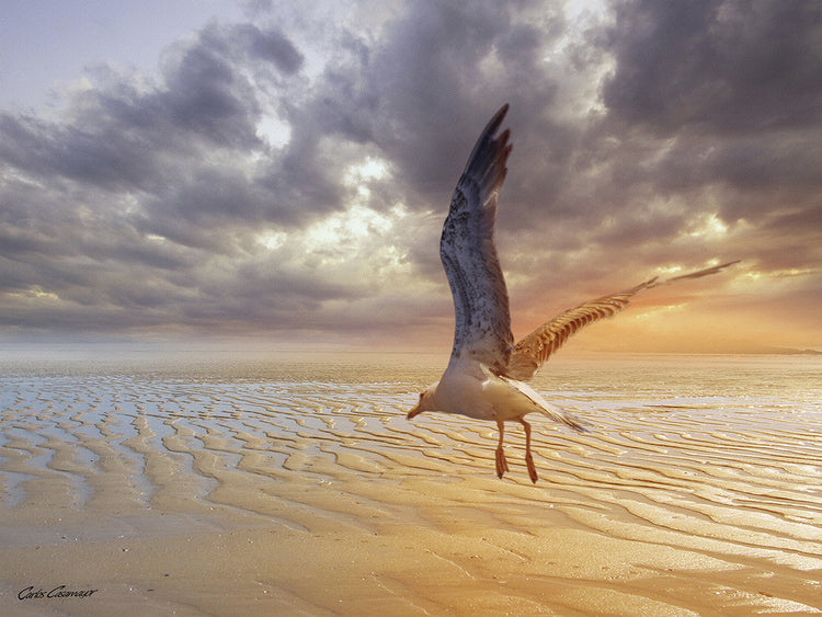 Soft Sunrise on the Beach 5