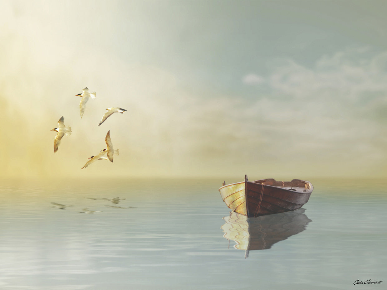 Soft Sunrise on the Beach 11