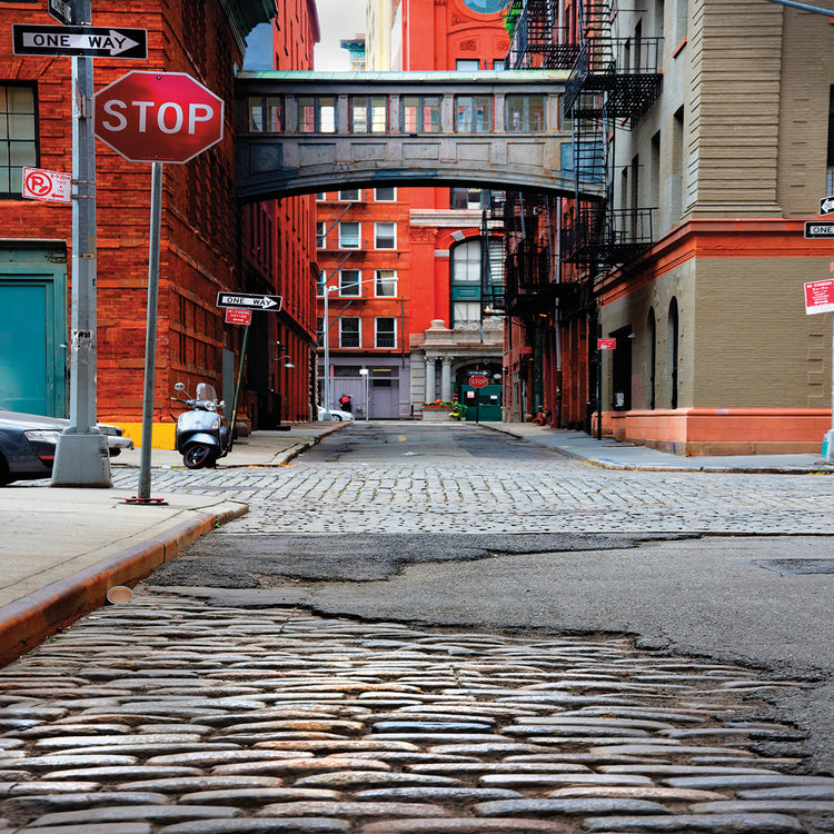 Arte de la lona del color de Jay Street