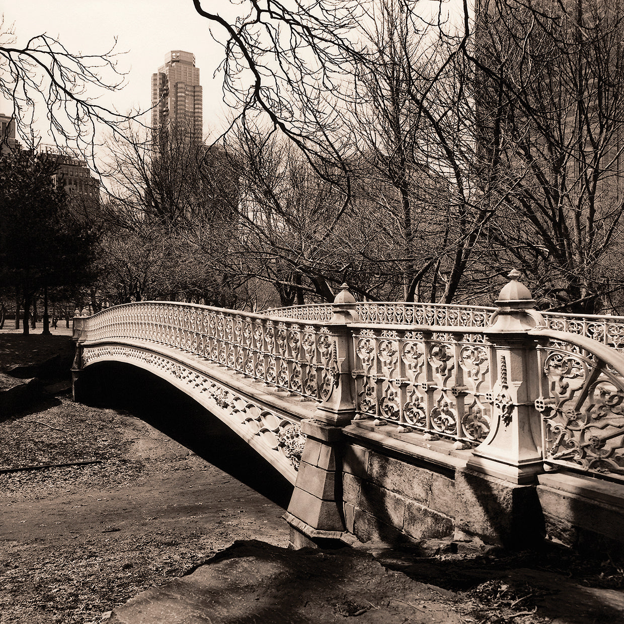 Bridge at park