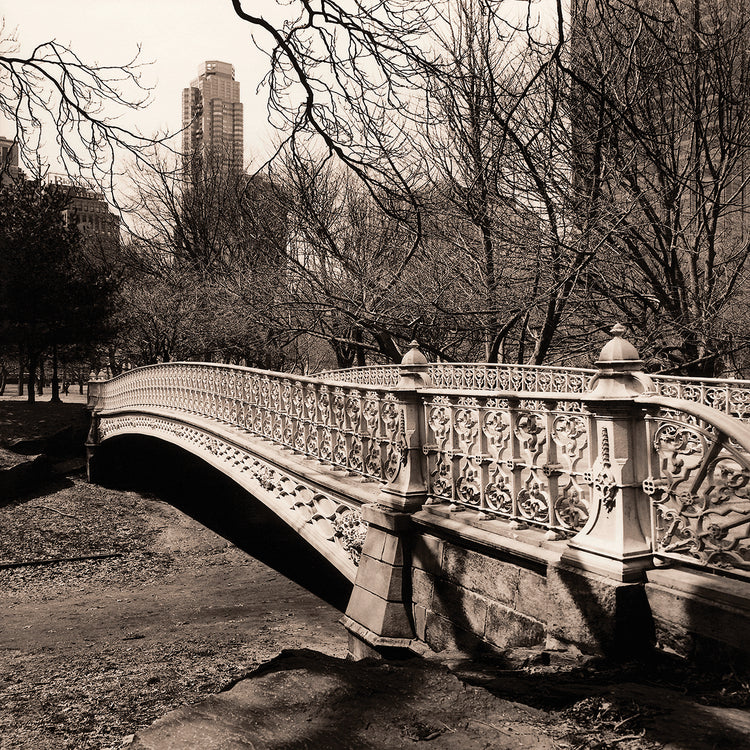 Bridge at park