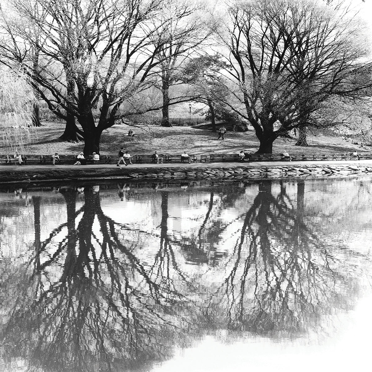 Central Park 1