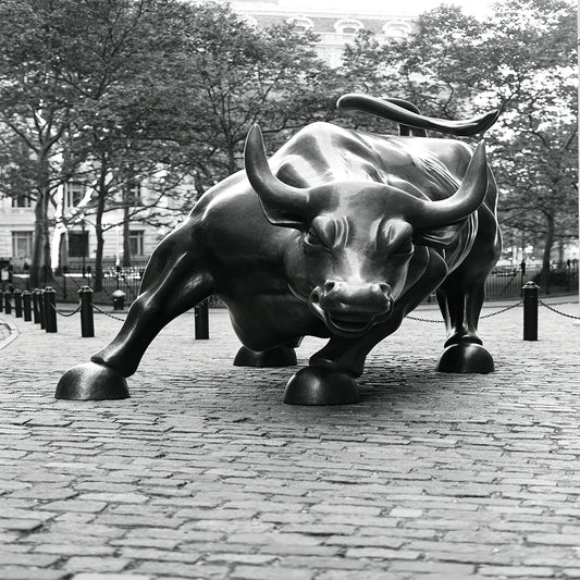 Wall Street Bull 1 Canvas Art