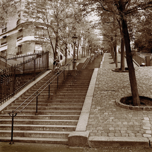 Stairs in Sepia 1
