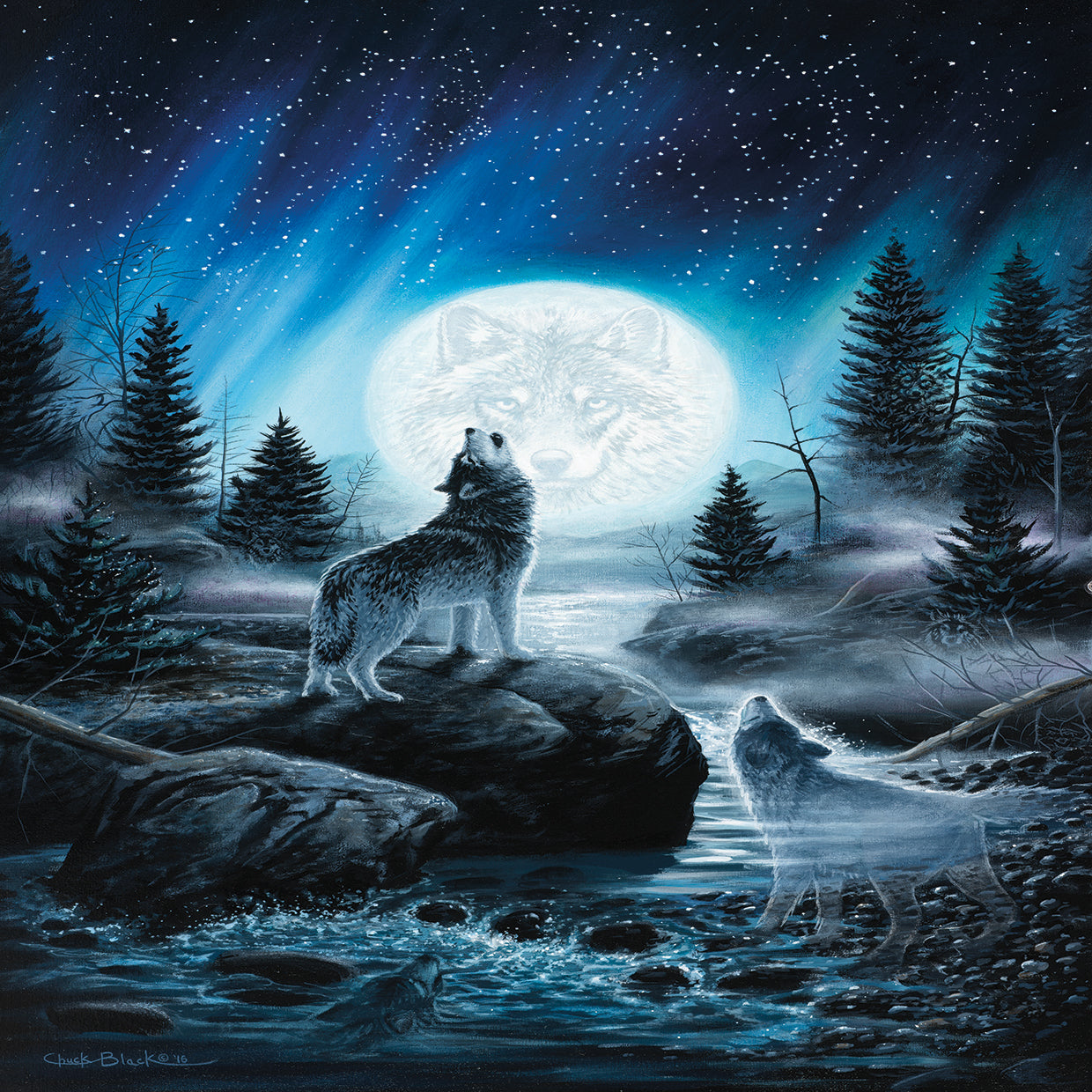 Spirits of the Wild