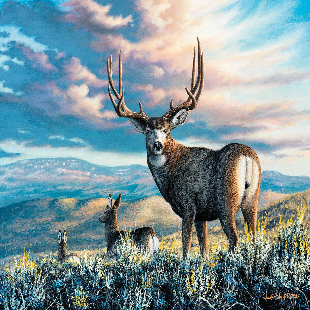 High Plains Legend