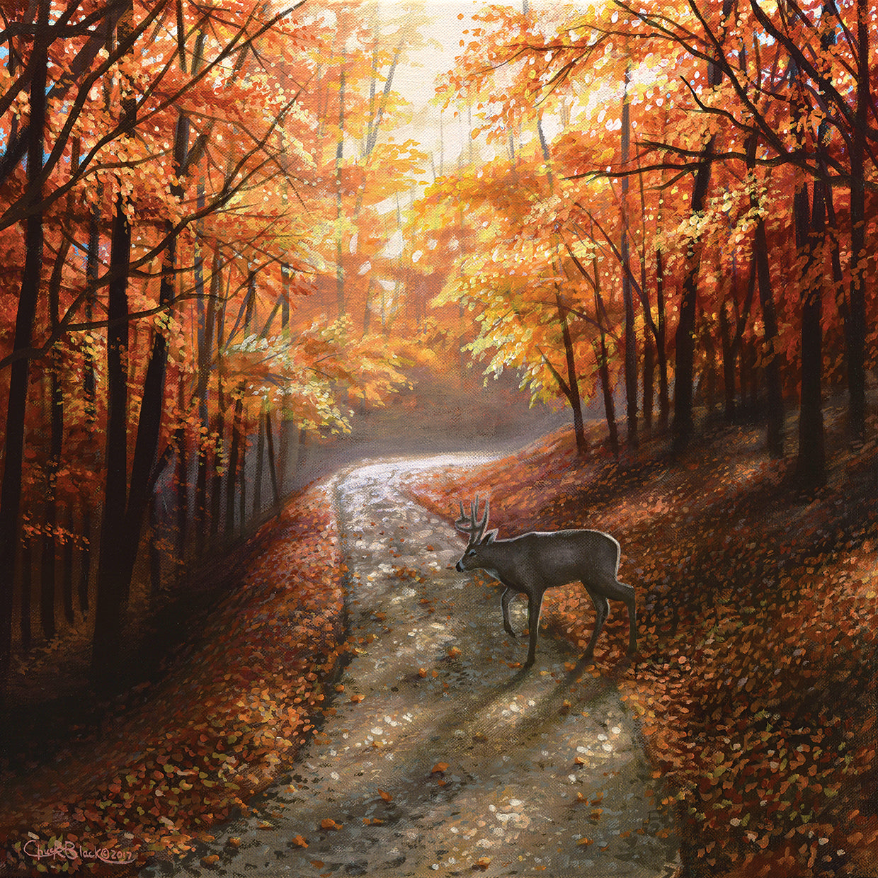 Autumn Bliss