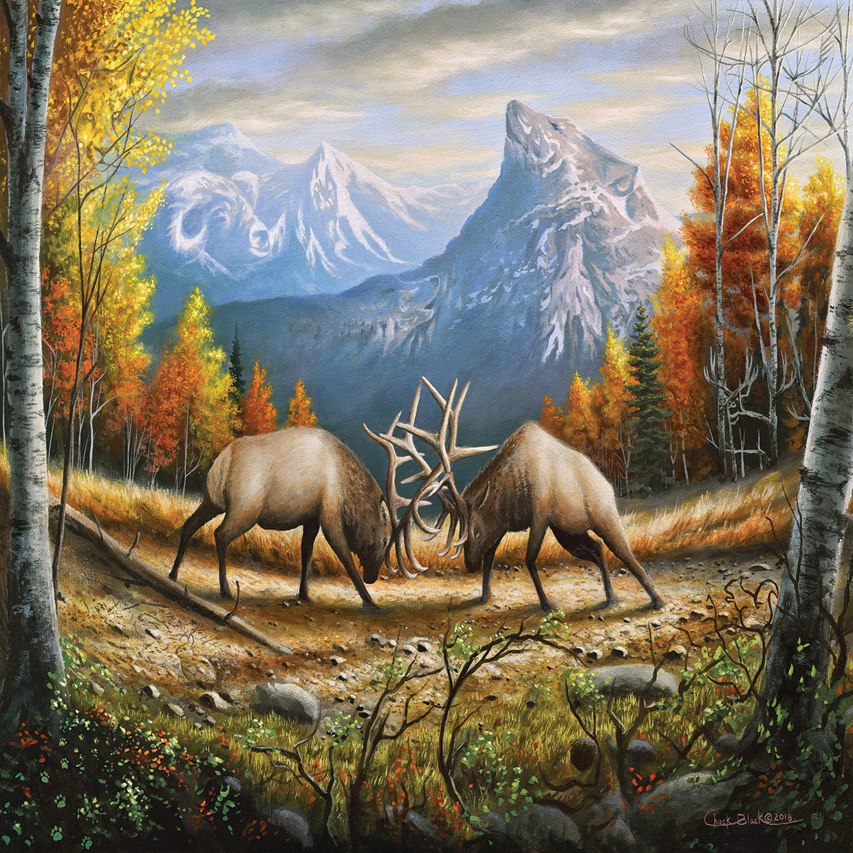 The Wild Frontier