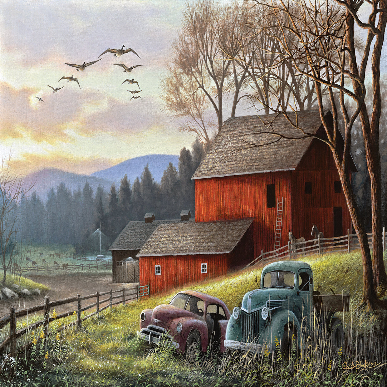 Countryside Dream