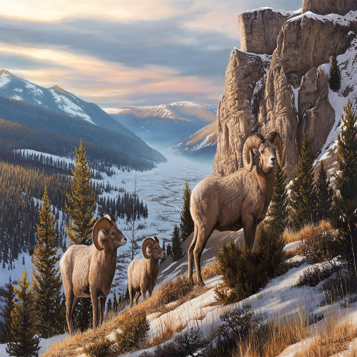 Western Beauty