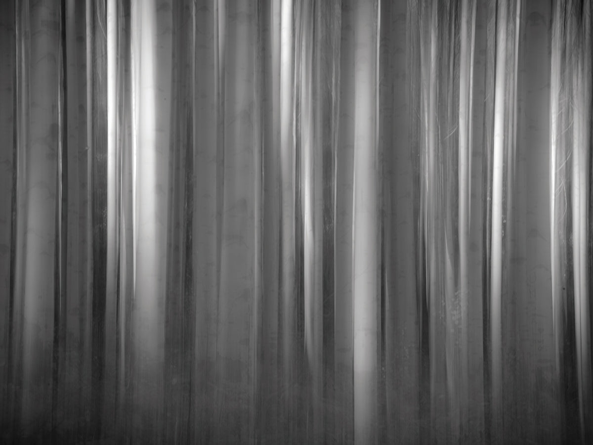 Aspen Form